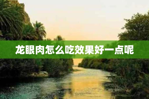 龙眼肉怎么吃效果好一点呢