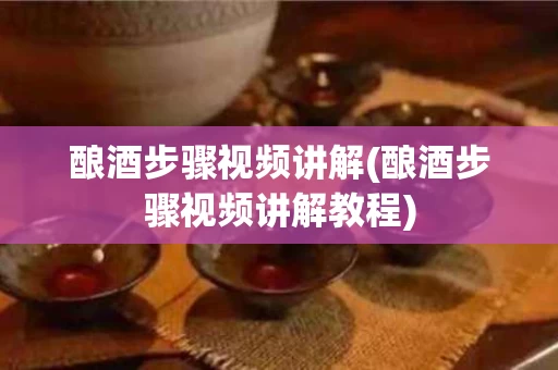 酿酒步骤视频讲解(酿酒步骤视频讲解教程)