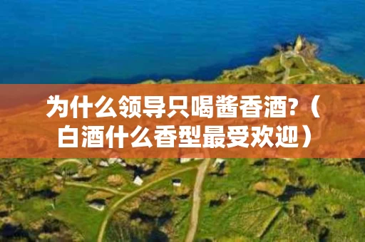 为什么领导只喝酱香酒?（白酒什么香型最受欢迎）
