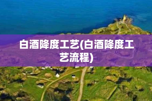 白酒降度工艺(白酒降度工艺流程)