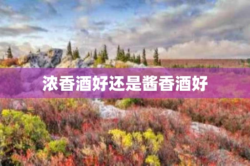 浓香酒好还是酱香酒好