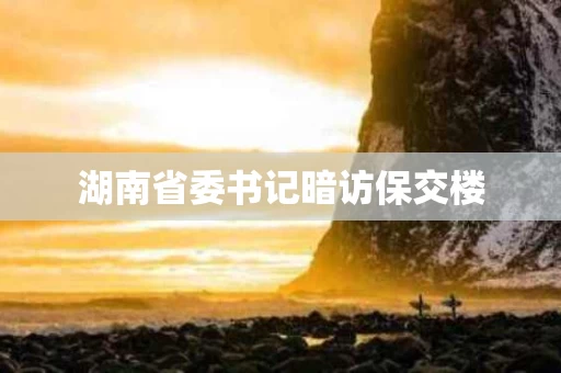 湖南省委书记暗访保交楼