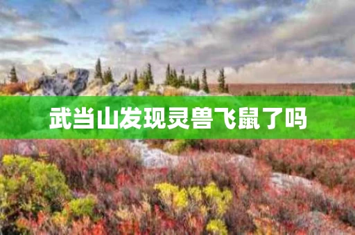 武当山发现灵兽飞鼠了吗
