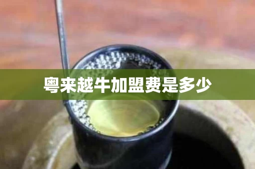 粤来越牛加盟费是多少