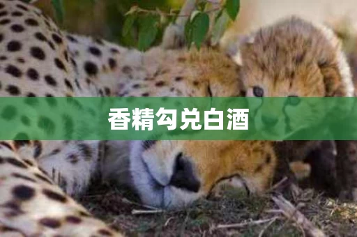 香精勾兑白酒