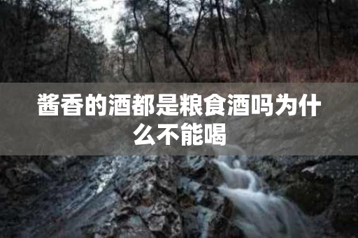 酱香的酒都是粮食酒吗为什么不能喝