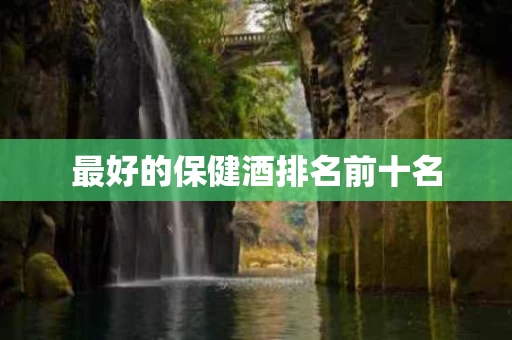 最好的保健酒排名前十名