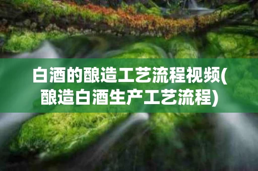 白酒的酿造工艺流程视频(酿造白酒生产工艺流程)