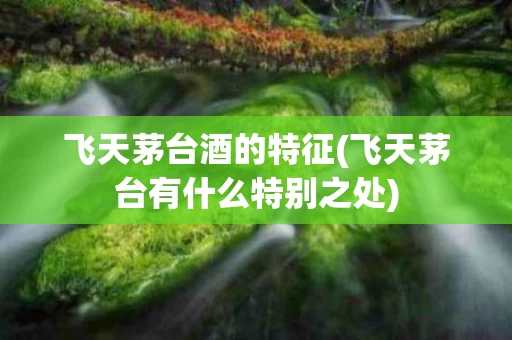 飞天茅台酒的特征(飞天茅台有什么特别之处)