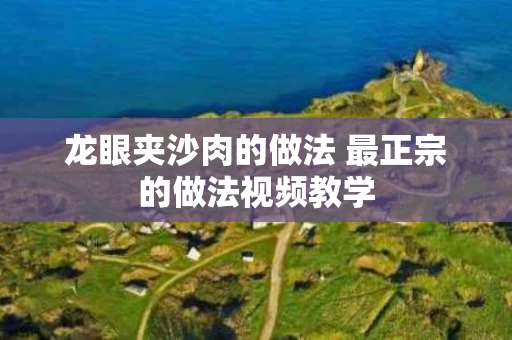 龙眼夹沙肉的做法 最正宗的做法视频教学