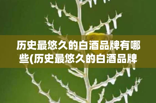 历史最悠久的白酒品牌有哪些(历史最悠久的白酒品牌有哪些牌子)