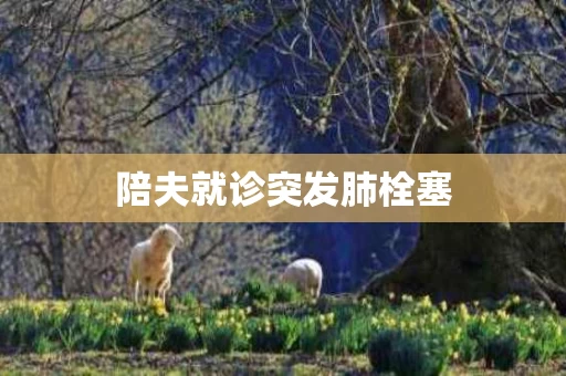陪夫就诊突发肺栓塞