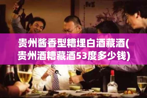 贵州酱香型糟埋白酒藏酒(贵州酒糟藏酒53度多少钱)