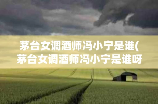 茅台女调酒师冯小宁是谁(茅台女调酒师冯小宁是谁呀)