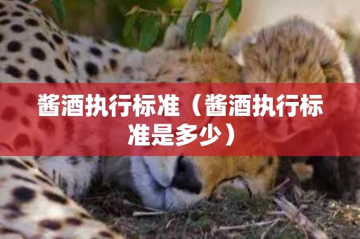 酱酒执行标准（酱酒执行标准是多少）