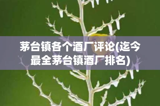 茅台镇各个酒厂评论(迄今最全茅台镇酒厂排名)