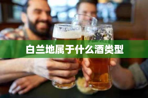 白兰地属于什么酒类型