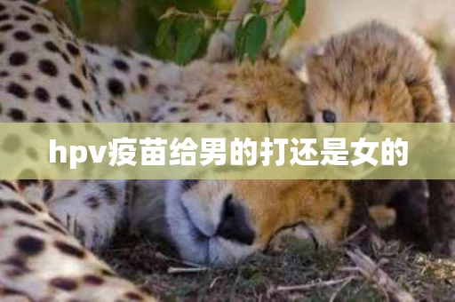 hpv疫苗给男的打还是女的