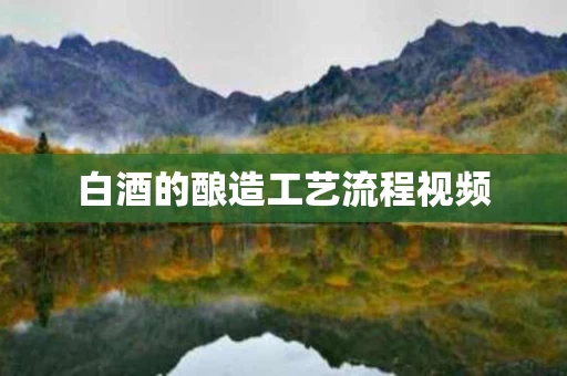白酒的酿造工艺流程视频