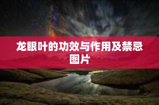 龙眼叶的功效与作用及禁忌图片