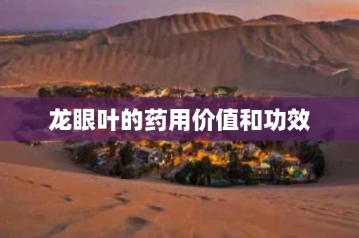 龙眼叶的药用价值和功效