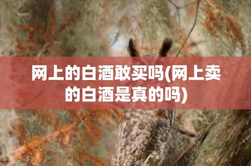 网上的白酒敢买吗(网上卖的白酒是真的吗)