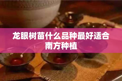 龙眼树苗什么品种最好适合南方种植