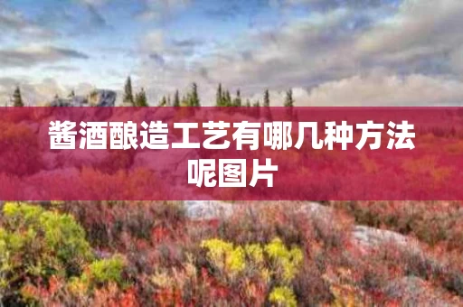 酱酒酿造工艺有哪几种方法呢图片
