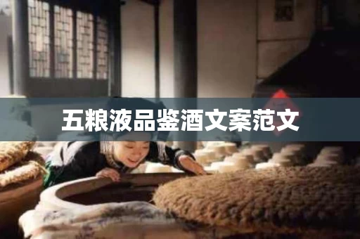 五粮液品鉴酒文案范文