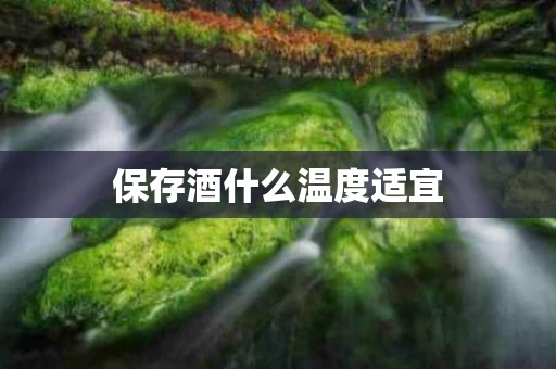 保存酒什么温度适宜