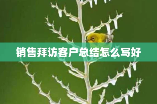 销售拜访客户总结怎么写好