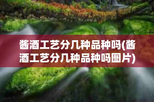 酱酒工艺分几种品种吗(酱酒工艺分几种品种吗图片)