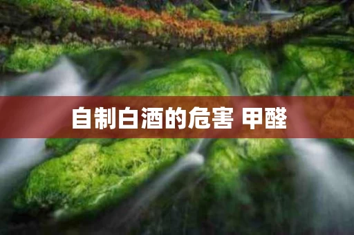 自制白酒的危害 甲醛