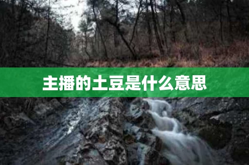 主播的土豆是什么意思