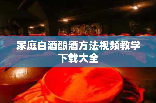 家庭白酒酿酒方法视频教学下载大全
