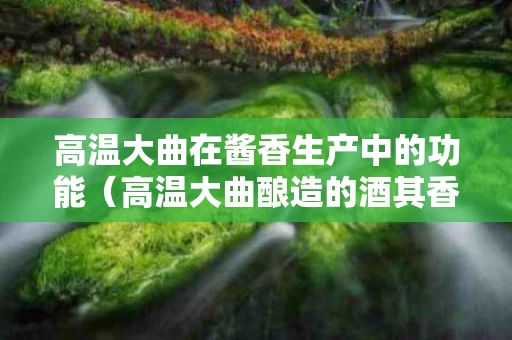 高温大曲在酱香生产中的功能（高温大曲酿造的酒其香型是）
