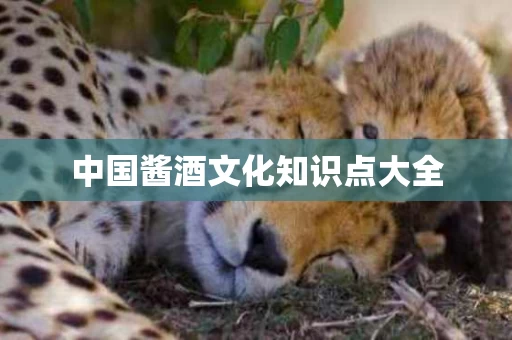 中国酱酒文化知识点大全