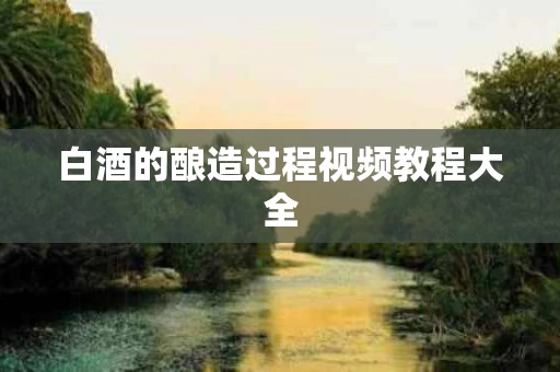 白酒的酿造过程视频教程大全