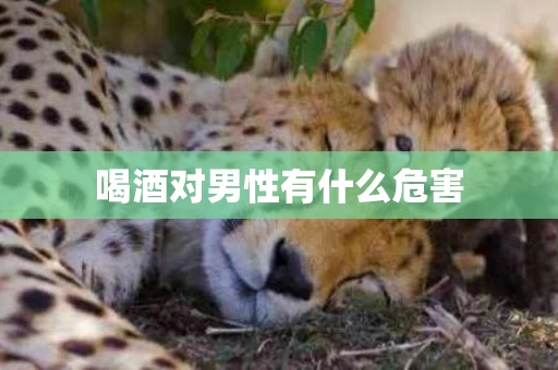喝酒对男性有什么危害