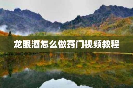 龙眼酒怎么做窍门视频教程