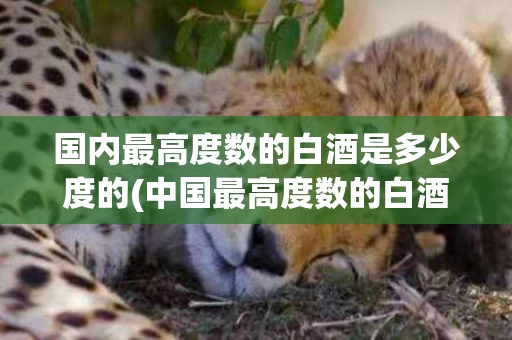 国内最高度数的白酒是多少度的(中国最高度数的白酒)