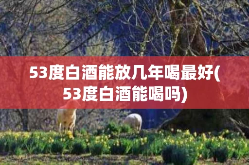 53度白酒能放几年喝最好(53度白酒能喝吗)