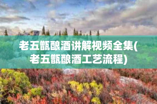 老五甑酿酒讲解视频全集(老五甑酿酒工艺流程)