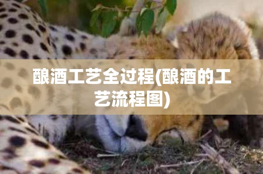 酿酒工艺全过程(酿酒的工艺流程图)