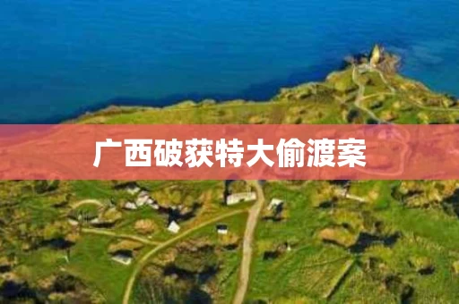 广西破获特大偷渡案