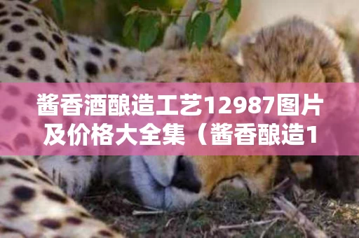 酱香酒酿造工艺12987图片及价格大全集（酱香酿造12987工艺介绍）