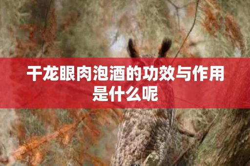 干龙眼肉泡酒的功效与作用是什么呢