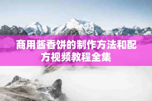 商用酱香饼的制作方法和配方视频教程全集