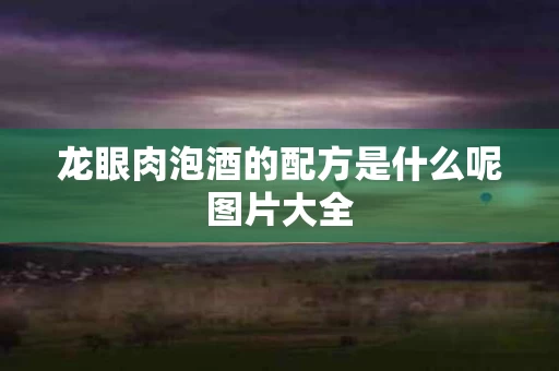 龙眼肉泡酒的配方是什么呢图片大全
