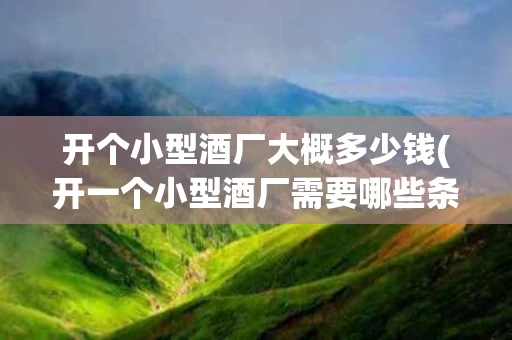 开个小型酒厂大概多少钱(开一个小型酒厂需要哪些条件)
